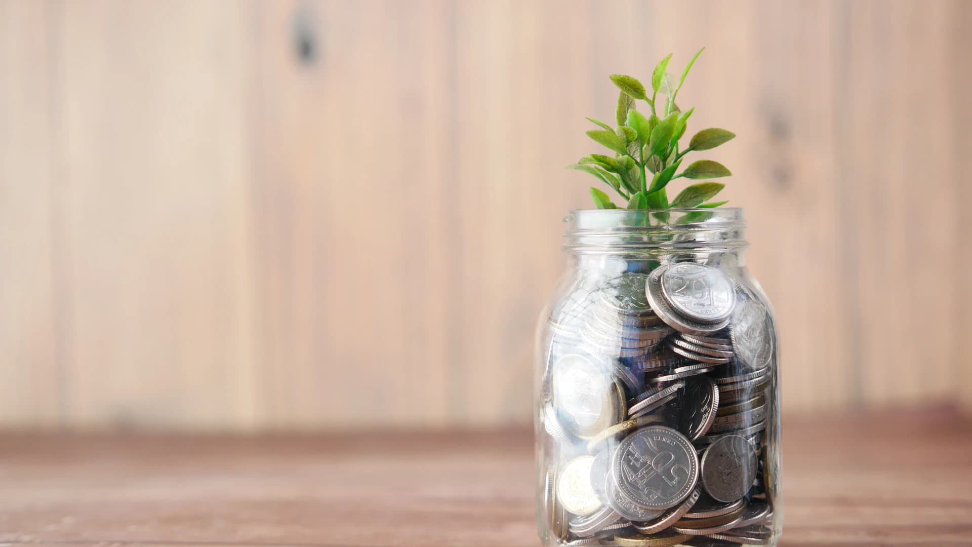 Savings and new plant growth representing sustainable long-term investment