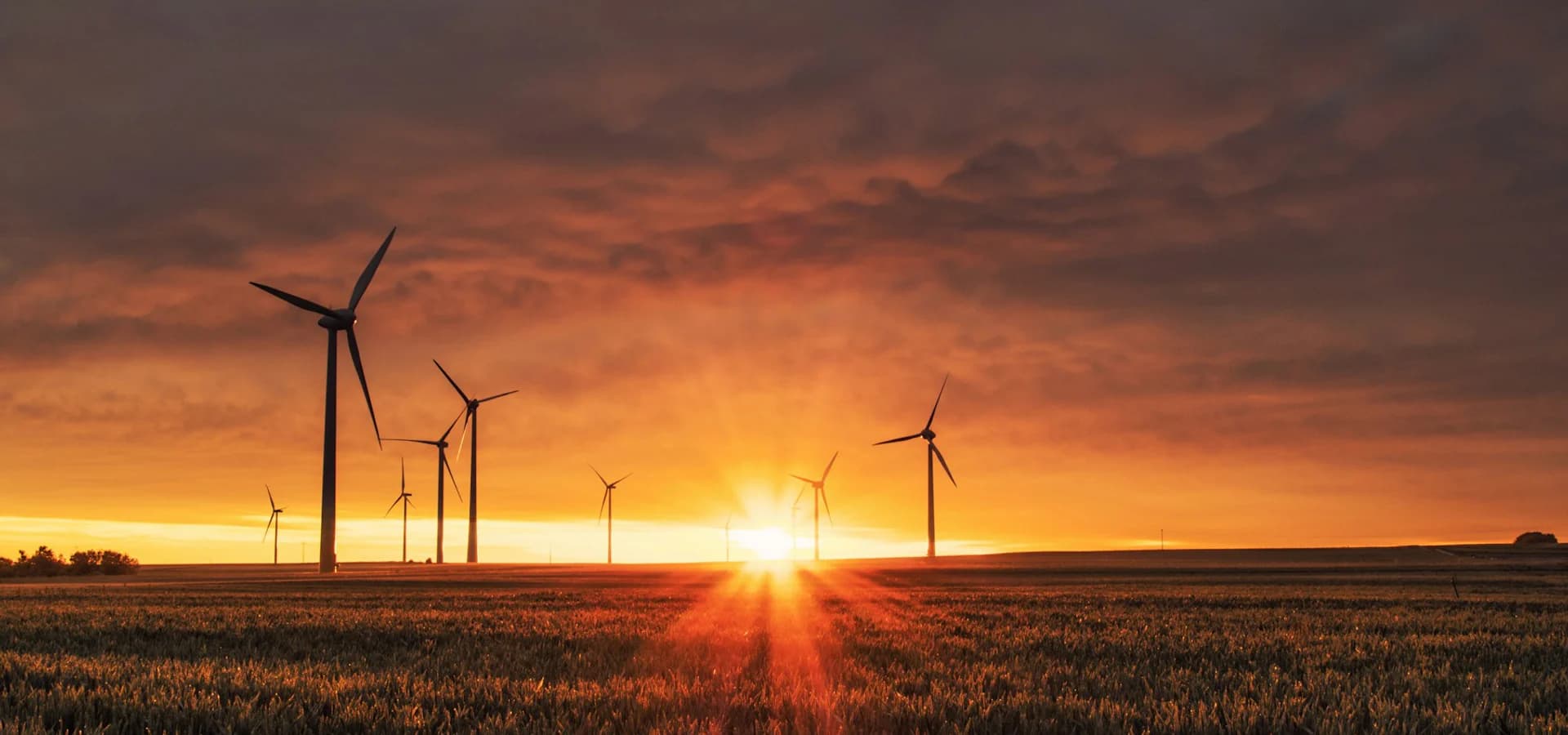 Wind turbines producing renewable energy